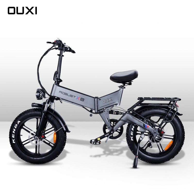 Electric Folding Bike