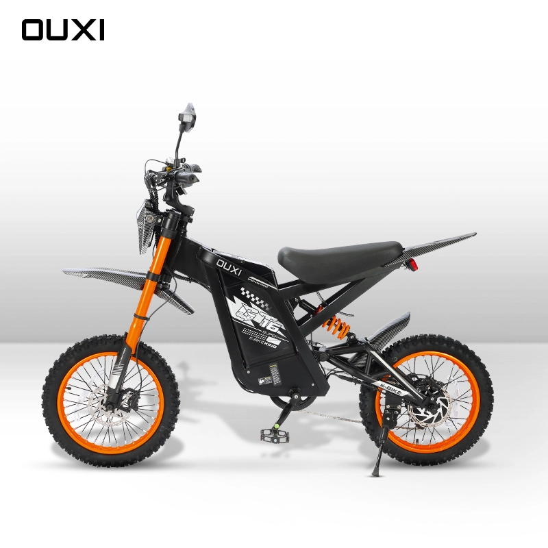 Electric Mini Bike
